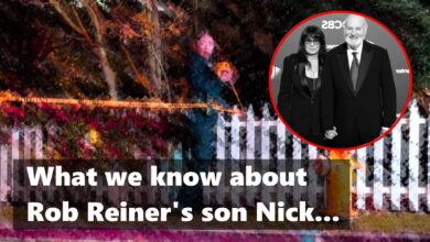 Rob Reiner son Nick Reiner Addiction